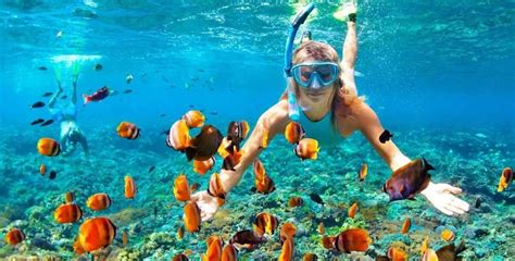 key largo snorkeling guides.